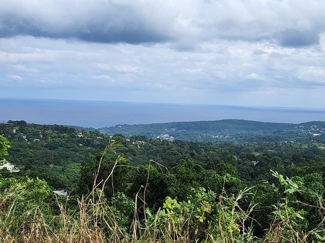 Seventh image of Breadnut Hill in Ocho Rios, St. Ann, Jamaica - property is For Sale