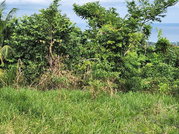 Eighth image of Breadnut Hill in Ocho Rios, St. Ann, Jamaica - property is For Sale