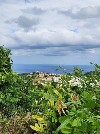 Tenth image of Breadnut Hill in Ocho Rios, St. Ann, Jamaica - property is For Sale