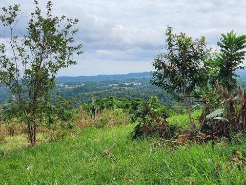 First image of Breadnut Hill in Ocho Rios, St. Ann, Jamaica - property is For Sale