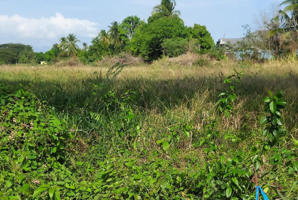 Second image of Willowdene Spanish Town in Spanish Town, St. Catherine, Jamaica - property is For Sale