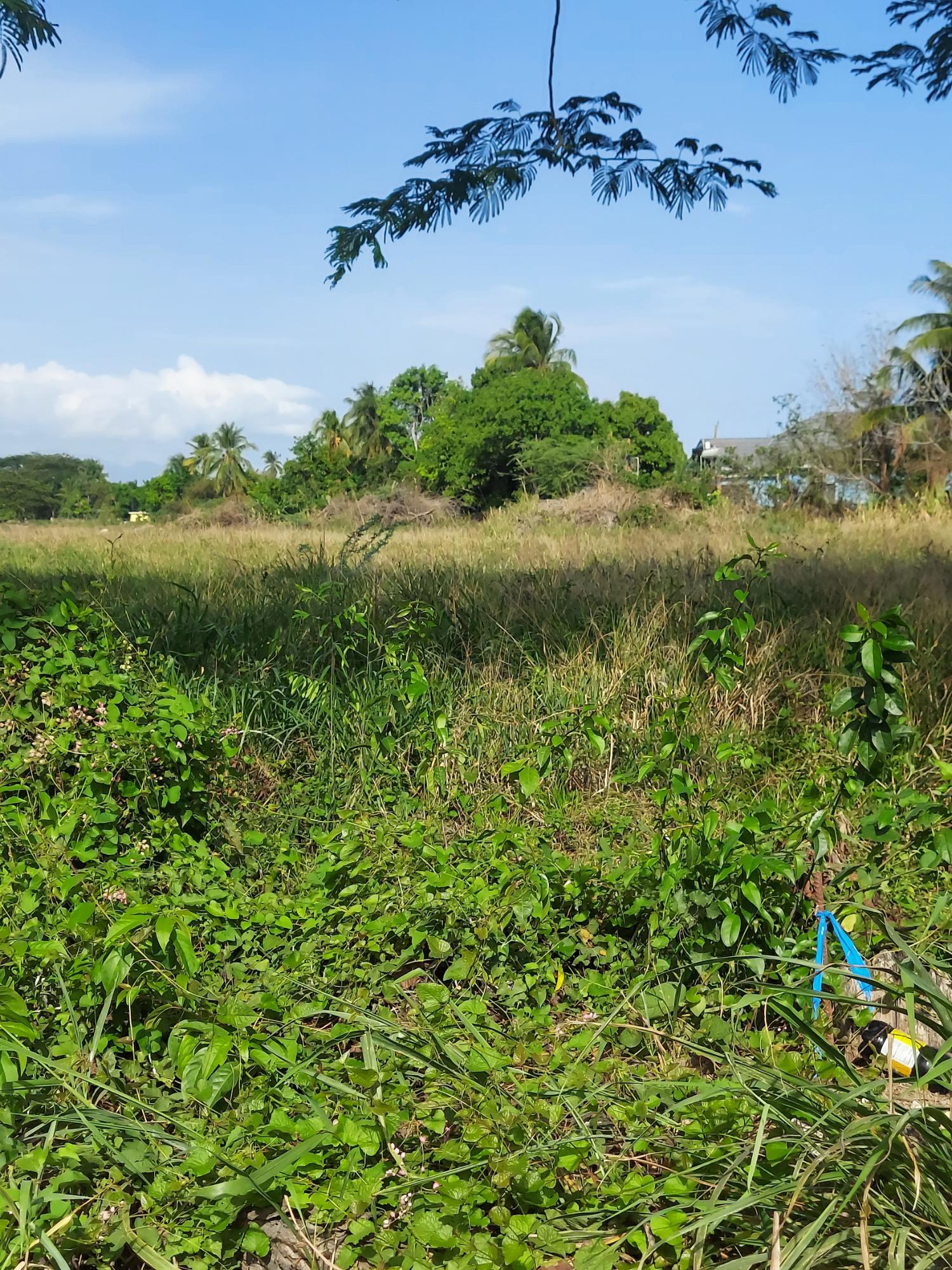 Second image of Willowdene Spanish Town in Spanish Town, St. Catherine, Jamaica - property is For Sale