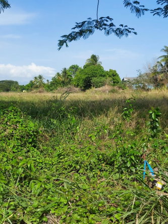 Second image of Willowdene Spanish Town in Spanish Town, St. Catherine, Jamaica - property is For Sale