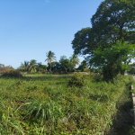 First image of Willowdene Spanish Town in Spanish Town, St. Catherine, Jamaica - property is For Sale