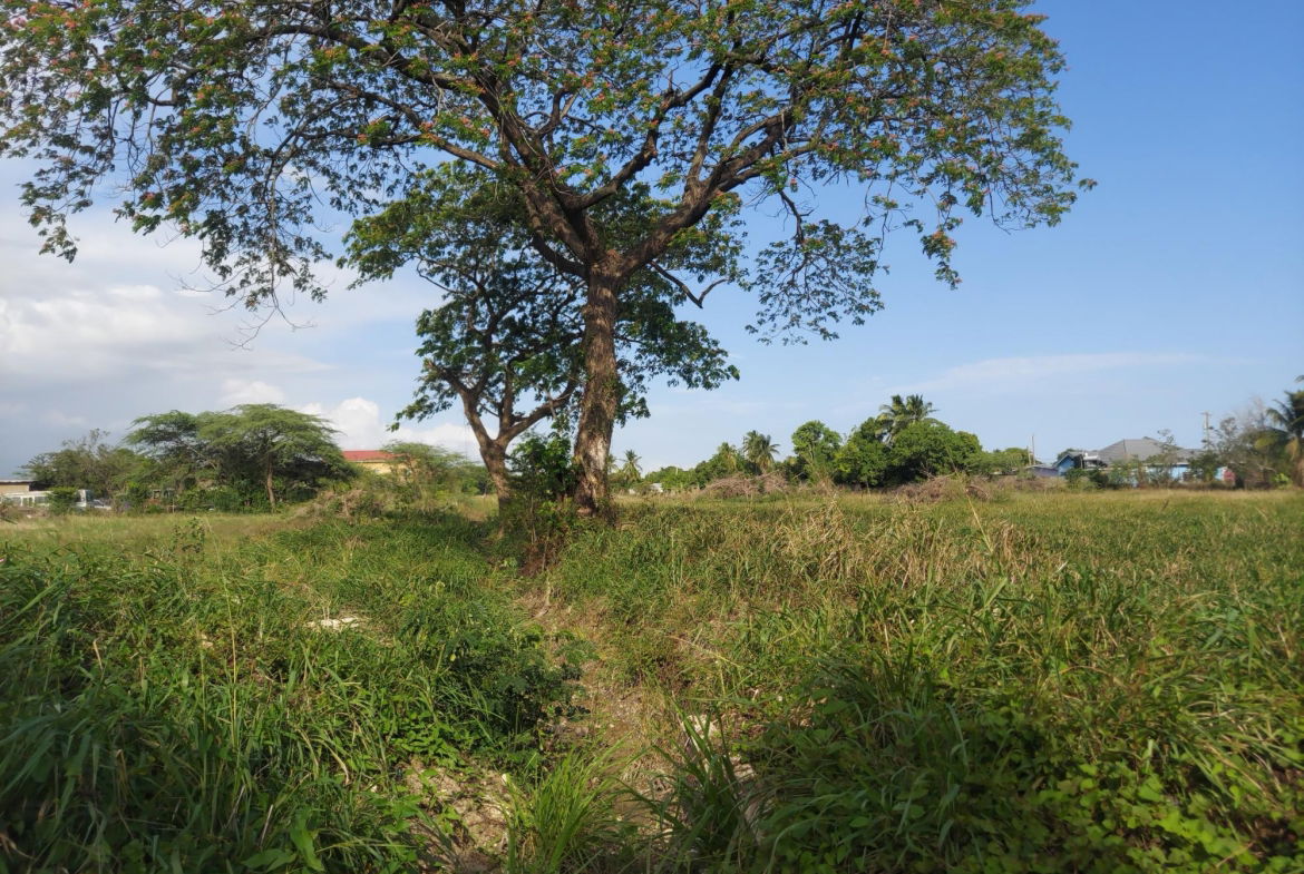 Third image of Willowdene Spanish Town in Spanish Town, St. Catherine, Jamaica - property is For Sale