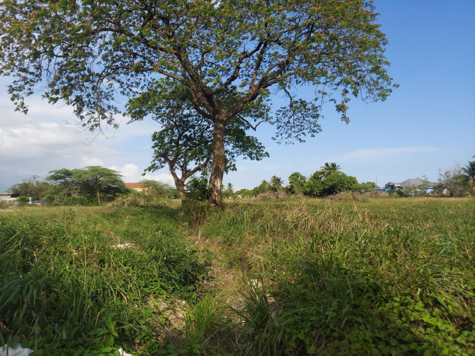 Third image of Willowdene Spanish Town in Spanish Town, St. Catherine, Jamaica - property is For Sale