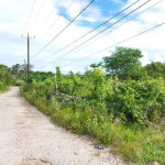 First image of Hermitage, Lancaster in Lancaster, Manchester, Jamaica - property is For Sale