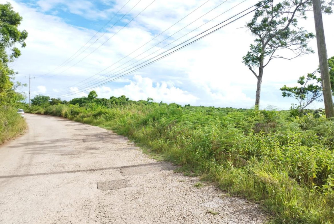 Third image of Hermitage, Lancaster in Lancaster, Manchester, Jamaica - property is For Sale