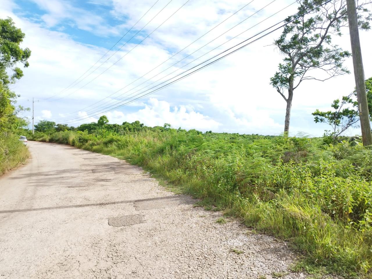Third image of Hermitage, Lancaster in Lancaster, Manchester, Jamaica - property is For Sale