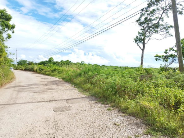 Third image of Hermitage, Lancaster in Lancaster, Manchester, Jamaica - property is For Sale