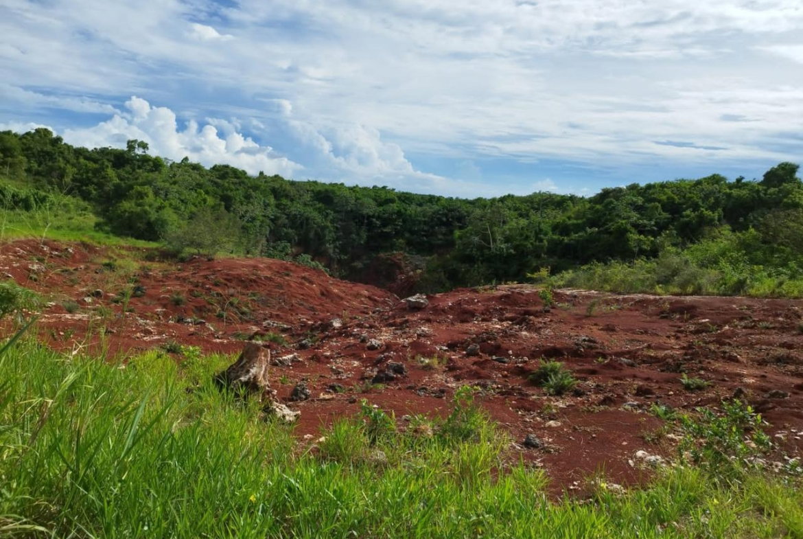 Fourth image of Hermitage, Lancaster in Lancaster, Manchester, Jamaica - property is For Sale