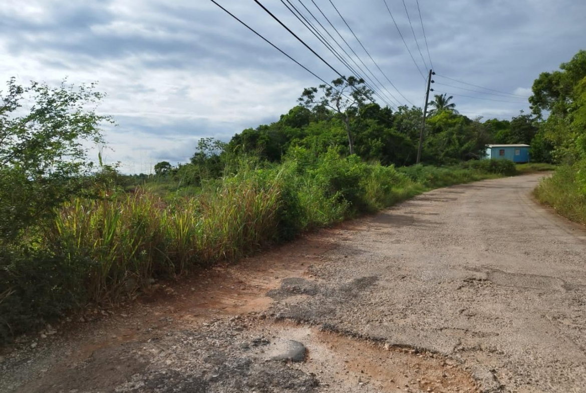Fifth image of Hermitage, Lancaster in Lancaster, Manchester, Jamaica - property is For Sale
