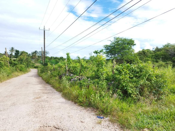 First image of Hermitage, Lancaster in Lancaster, Manchester, Jamaica - property is For Sale