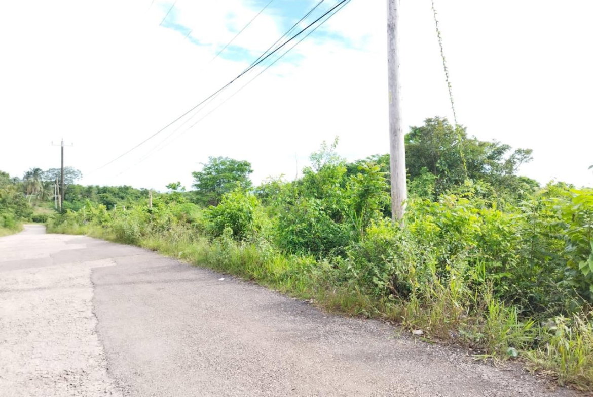 Seventh image of Hermitage, Lancaster in Lancaster, Manchester, Jamaica - property is For Sale