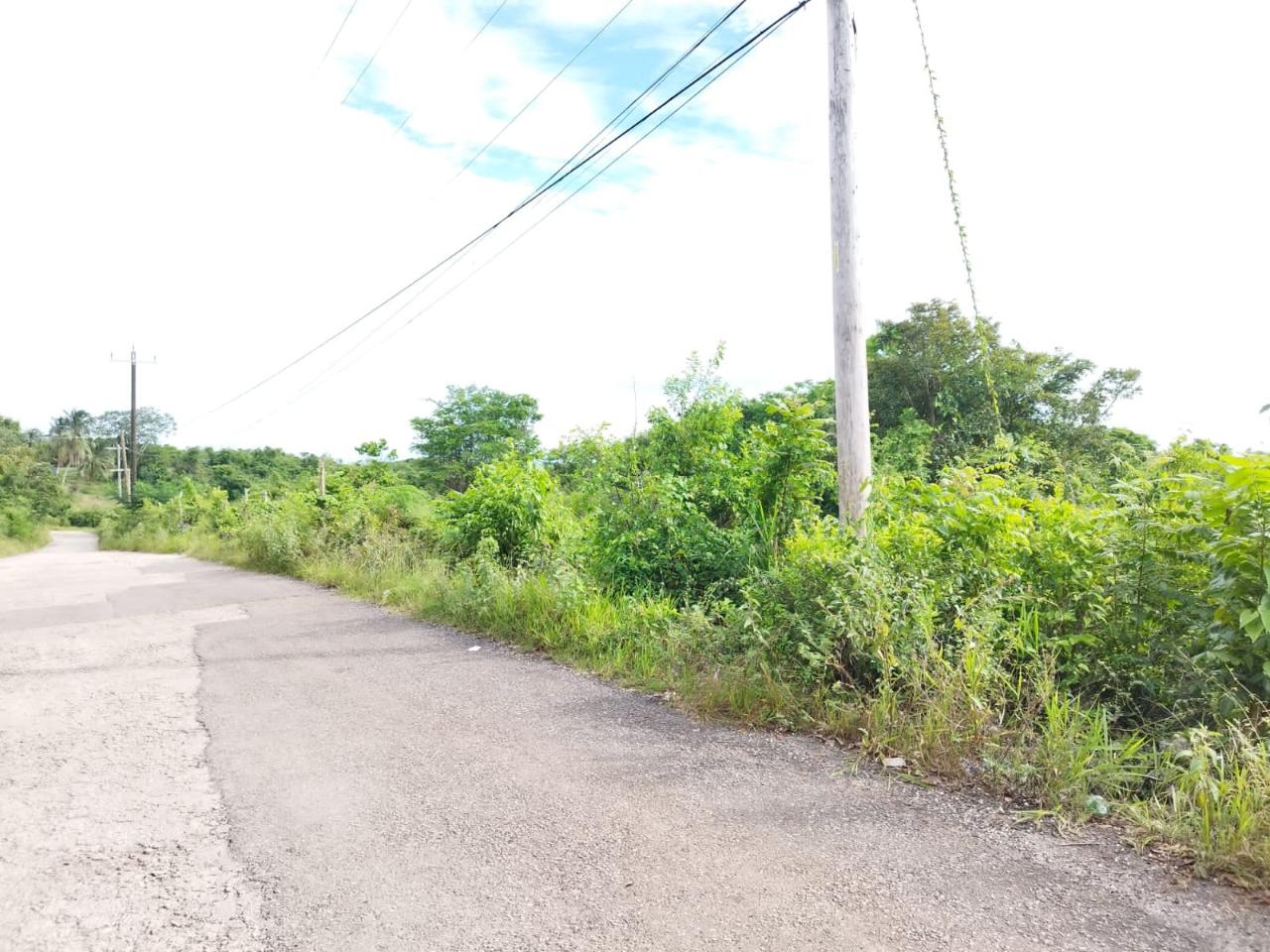 Seventh image of Hermitage, Lancaster in Lancaster, Manchester, Jamaica - property is For Sale