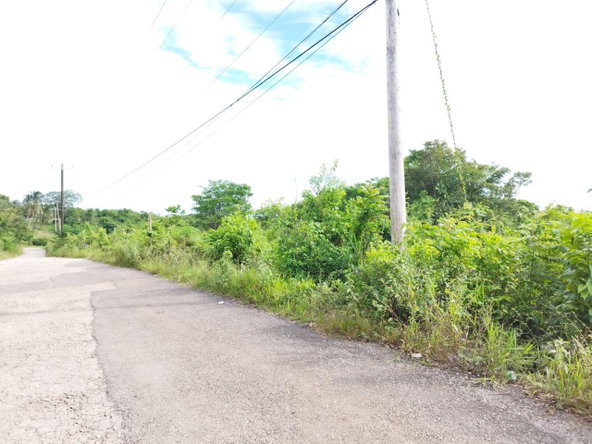 Seventh image of Hermitage, Lancaster in Lancaster, Manchester, Jamaica - property is For Sale