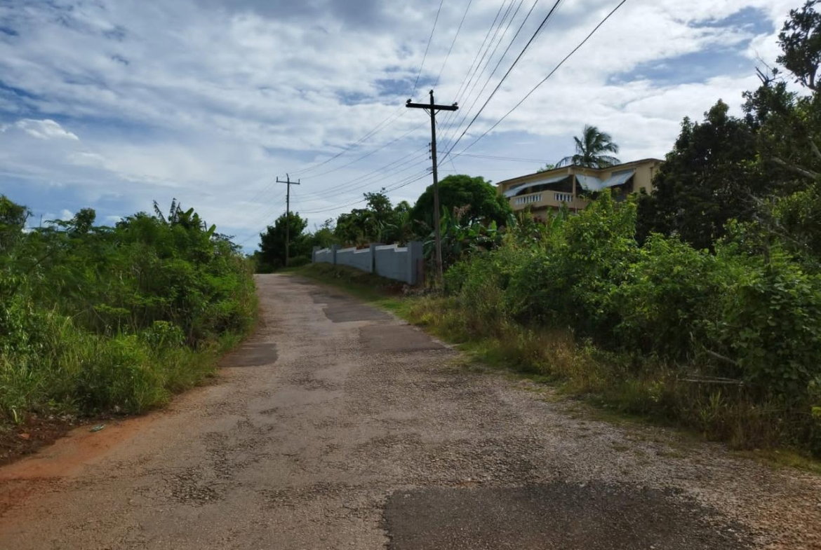 Eighth image of Hermitage, Lancaster in Lancaster, Manchester, Jamaica - property is For Sale