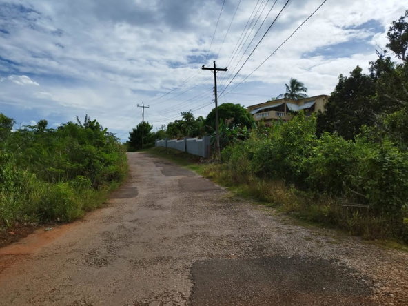 Eighth image of Hermitage, Lancaster in Lancaster, Manchester, Jamaica - property is For Sale