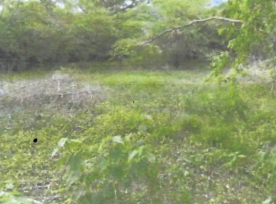 Second image of Land Part of Gimme me Bit in Gimme Me Bit, Clarendon, Jamaica - property is For Sale