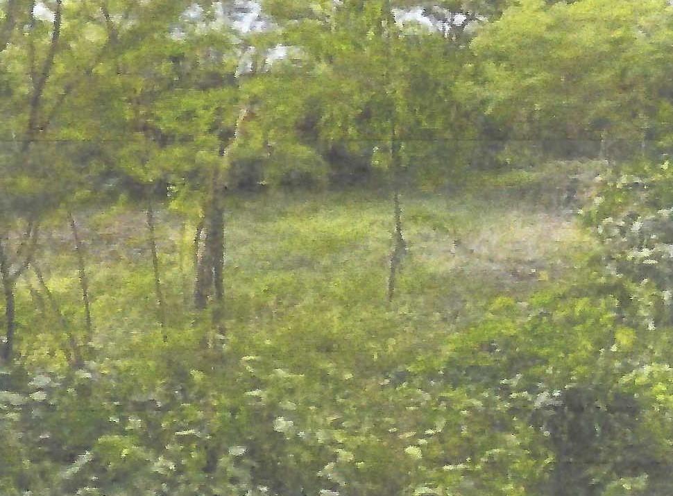 Third image of Land Part of Gimme me Bit in Gimme Me Bit, Clarendon, Jamaica - property is For Sale