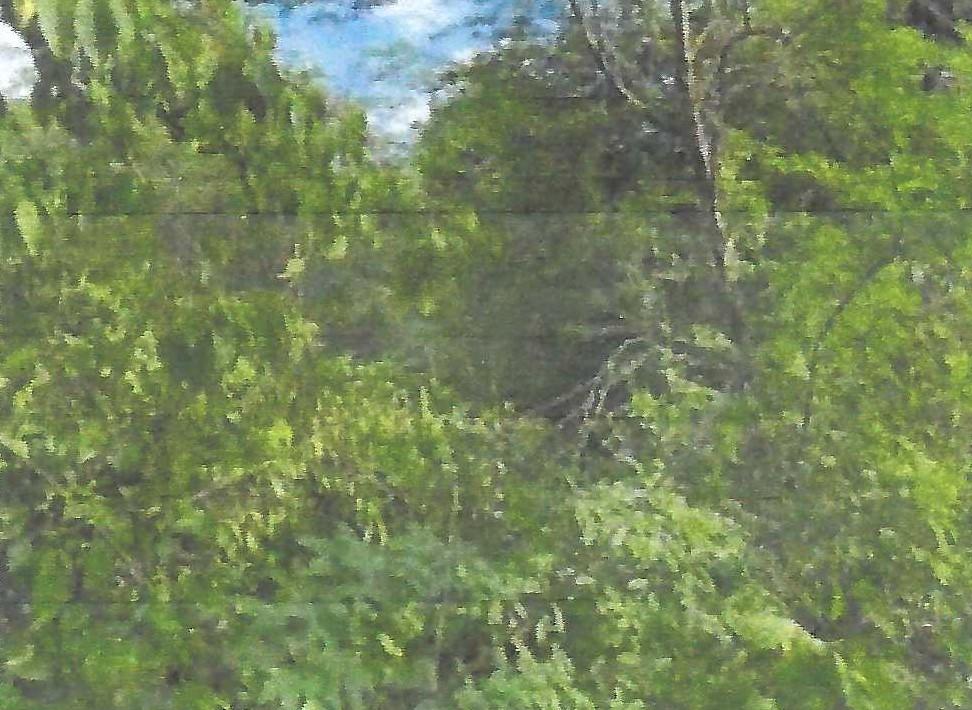 Fifth image of Land Part of Gimme me Bit in Gimme Me Bit, Clarendon, Jamaica - property is For Sale