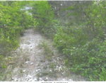 First image of Land Part of Gimme me Bit in Gimme Me Bit, Clarendon, Jamaica - property is For Sale