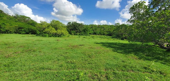 Ninth image of Kennedys Run, Palmers Cro in Palmers Cross, Clarendon, Jamaica - property is For Sale