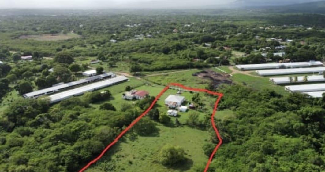 Tenth image of Kennedys Run, Palmers Cro in Palmers Cross, Clarendon, Jamaica - property is For Sale