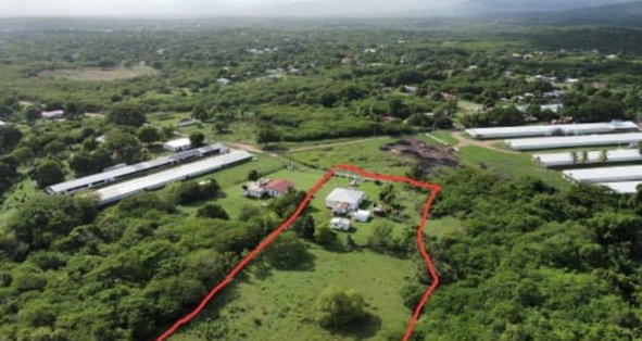 Tenth image of Kennedys Run, Palmers Cro in Palmers Cross, Clarendon, Jamaica - property is For Sale