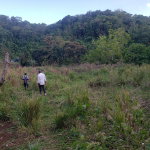 First image of Hopewell, Hanover in Hopewell, Hanover, Jamaica - property is For Sale