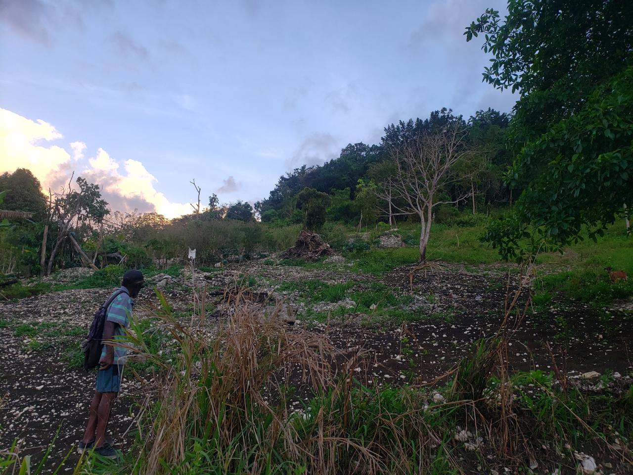 Sixth image of Hopewell, Hanover in Hopewell, Hanover, Jamaica - property is For Sale