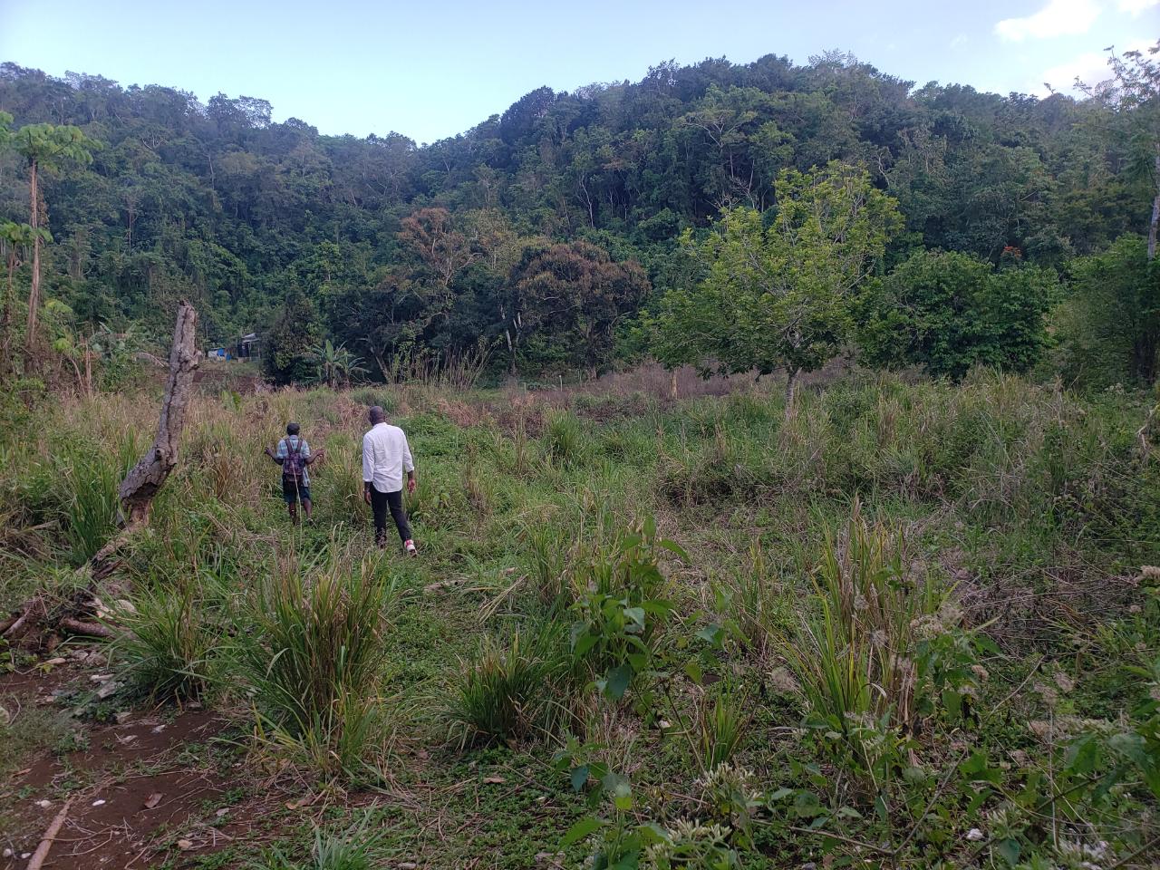 First image of Hopewell, Hanover in Hopewell, Hanover, Jamaica - property is For Sale