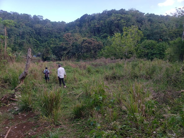 First image of Hopewell, Hanover in Hopewell, Hanover, Jamaica - property is For Sale