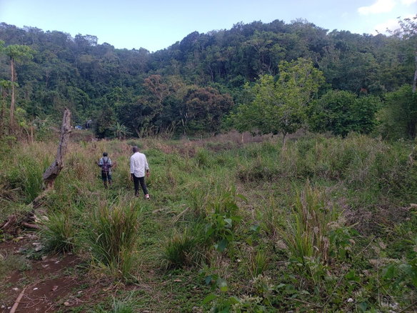 First image of Hopewell, Hanover in Hopewell, Hanover, Jamaica - property is For Sale