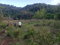 First image of Hopewell, Hanover in Hopewell, Hanover, Jamaica - property is For Sale