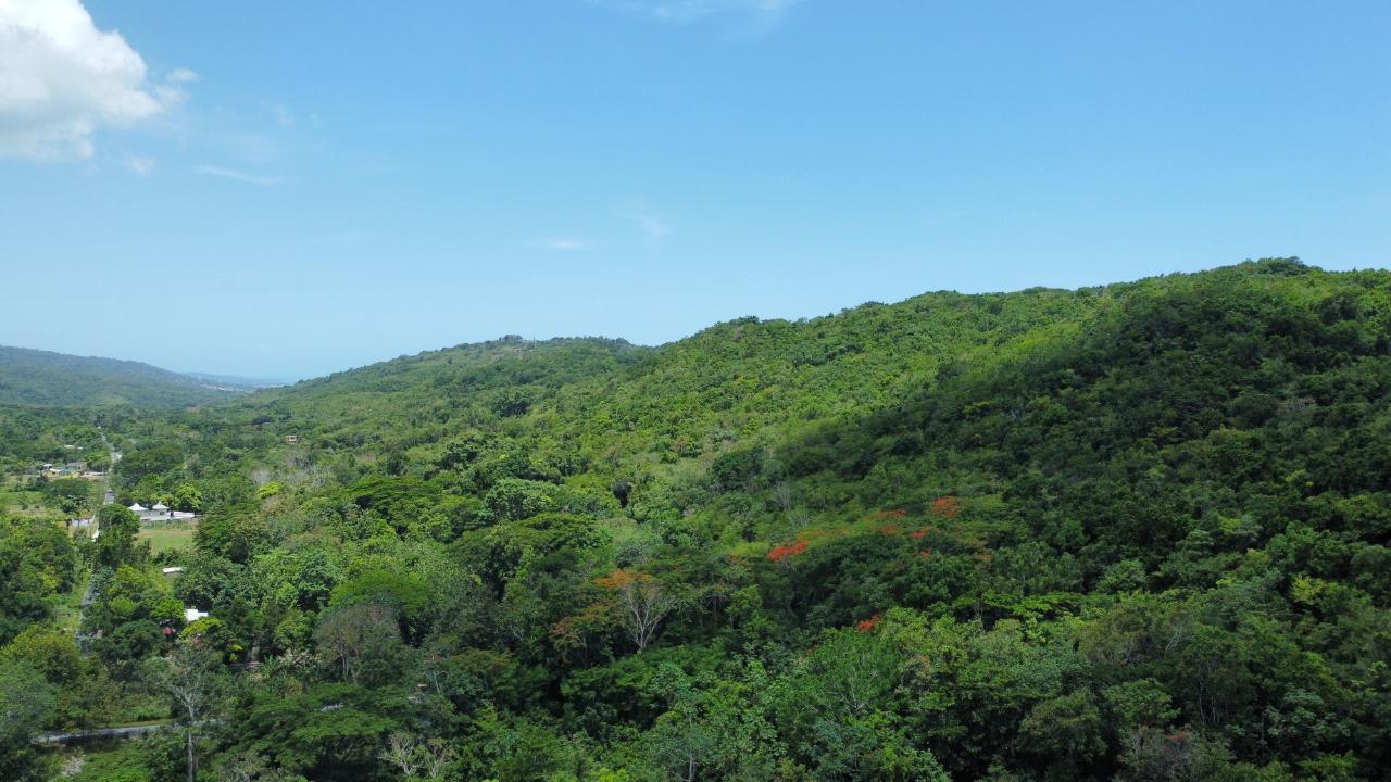 Second image of Lot # 12 Bluefields, Westmoreland in Bluefields, Westmoreland, Jamaica - property is For Sale