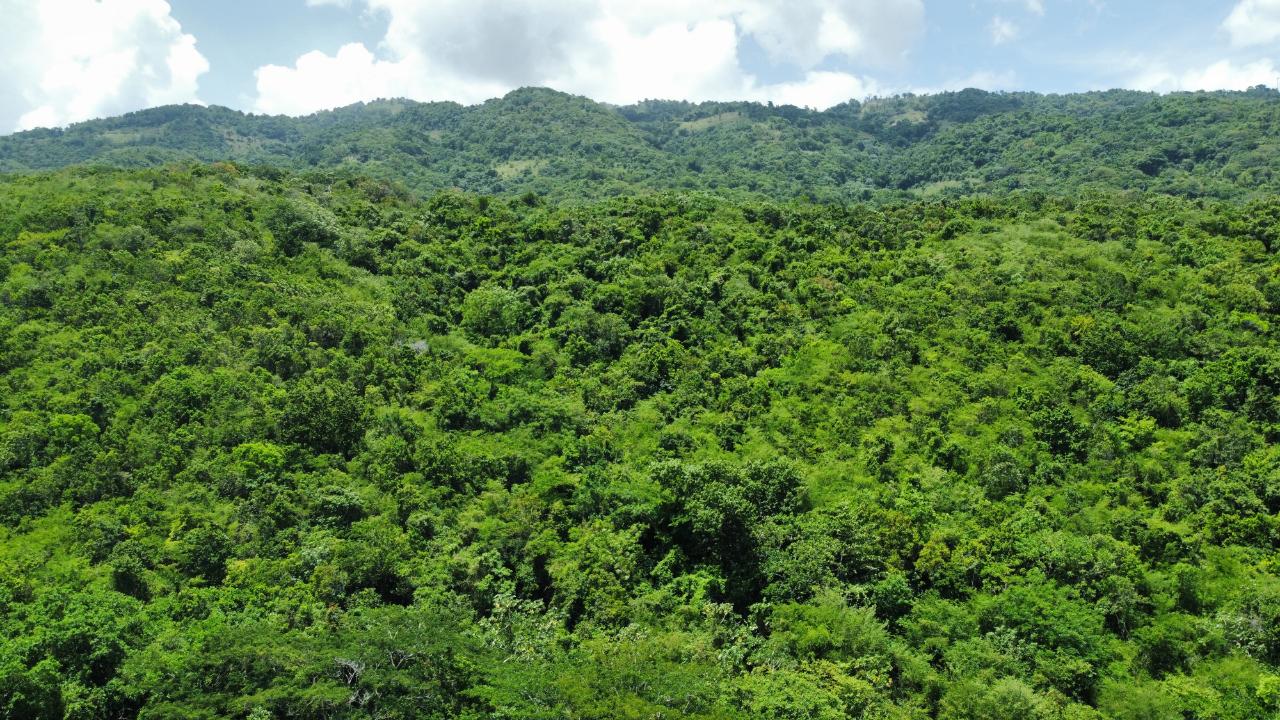 Sixth image of Lot # 12 Bluefields, Westmoreland in Bluefields, Westmoreland, Jamaica - property is For Sale