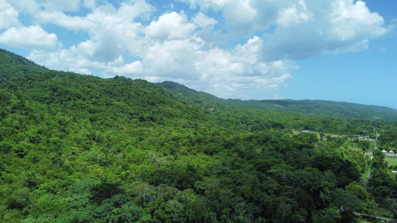 Seventh image of Lot # 12 Bluefields, Westmoreland in Bluefields, Westmoreland, Jamaica - property is For Sale