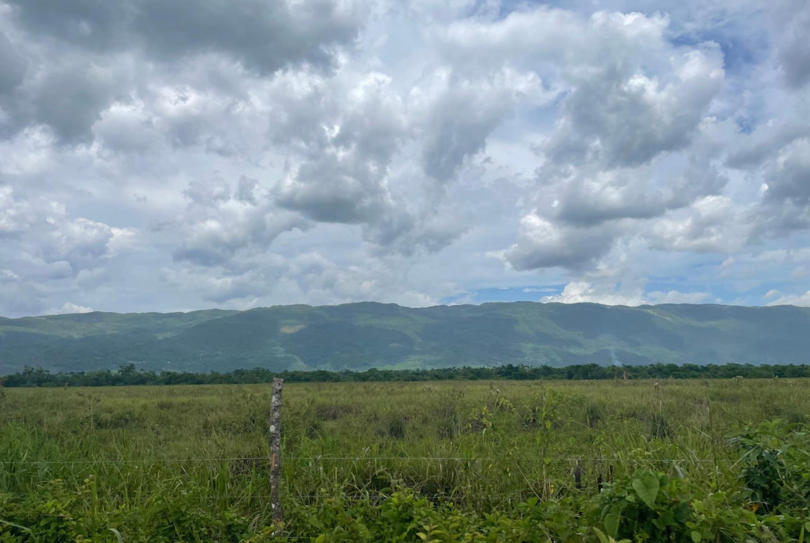 Second image of Bogue, St. Elizabeth in Bogue, St. Elizabeth, Jamaica - property is For Sale