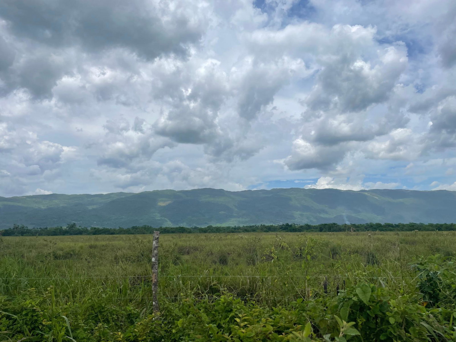 Second image of Bogue, St. Elizabeth in Bogue, St. Elizabeth, Jamaica - property is For Sale