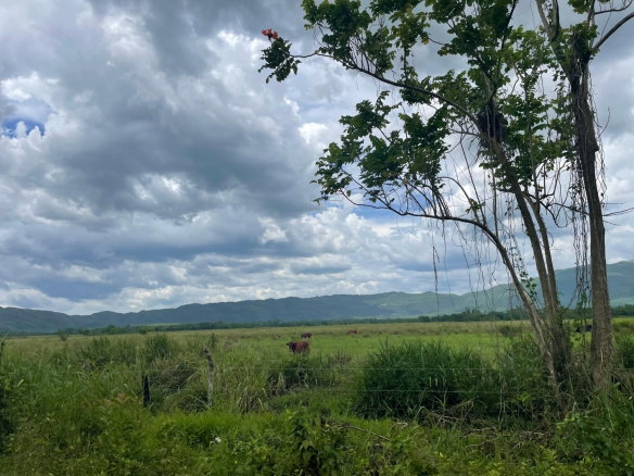 First image of Bogue, St. Elizabeth in Bogue, St. Elizabeth, Jamaica - property is For Sale