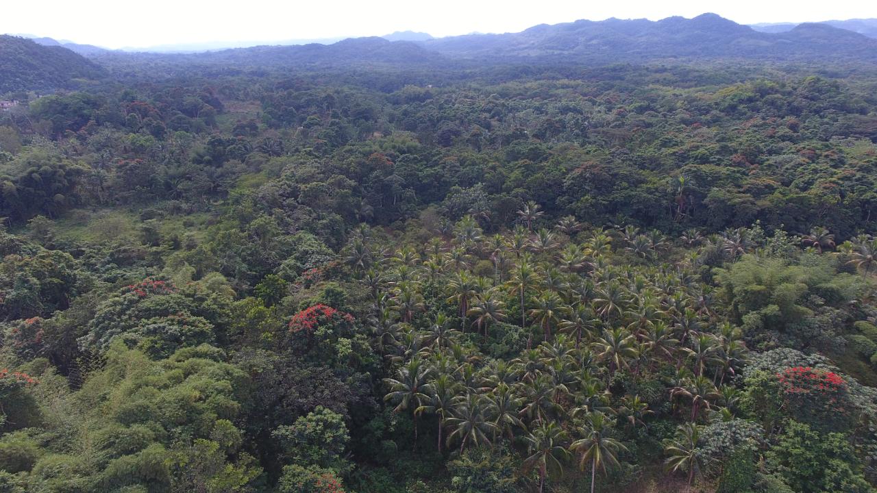 Second image of 170 Sevens River, Cambridge in Cambridge, St. James, Jamaica - property is For Sale