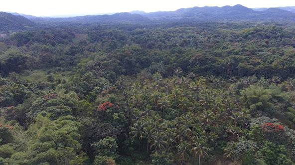 Second image of 170 Sevens River, Cambridge in Cambridge, St. James, Jamaica - property is For Sale