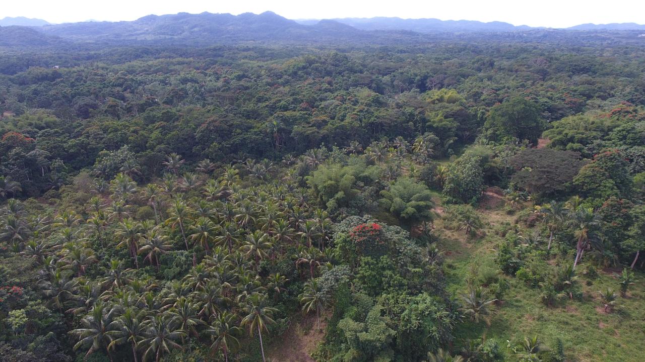 Third image of 170 Sevens River, Cambridge in Cambridge, St. James, Jamaica - property is For Sale