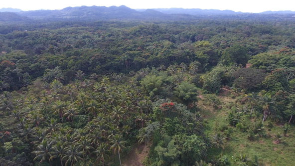 Third image of 170 Sevens River, Cambridge in Cambridge, St. James, Jamaica - property is For Sale