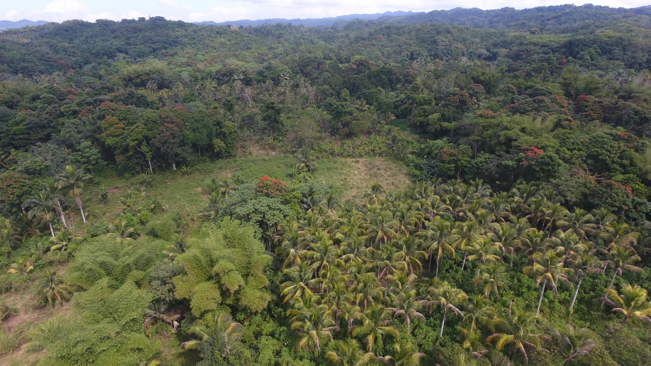 Fourth image of 170 Sevens River, Cambridge in Cambridge, St. James, Jamaica - property is For Sale