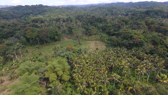 Fourth image of 170 Sevens River, Cambridge in Cambridge, St. James, Jamaica - property is For Sale