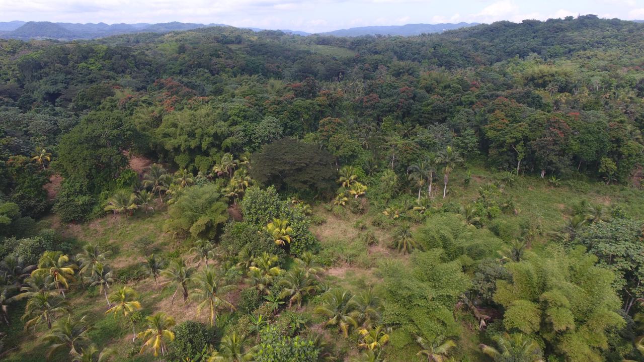 Fifth image of 170 Sevens River, Cambridge in Cambridge, St. James, Jamaica - property is For Sale