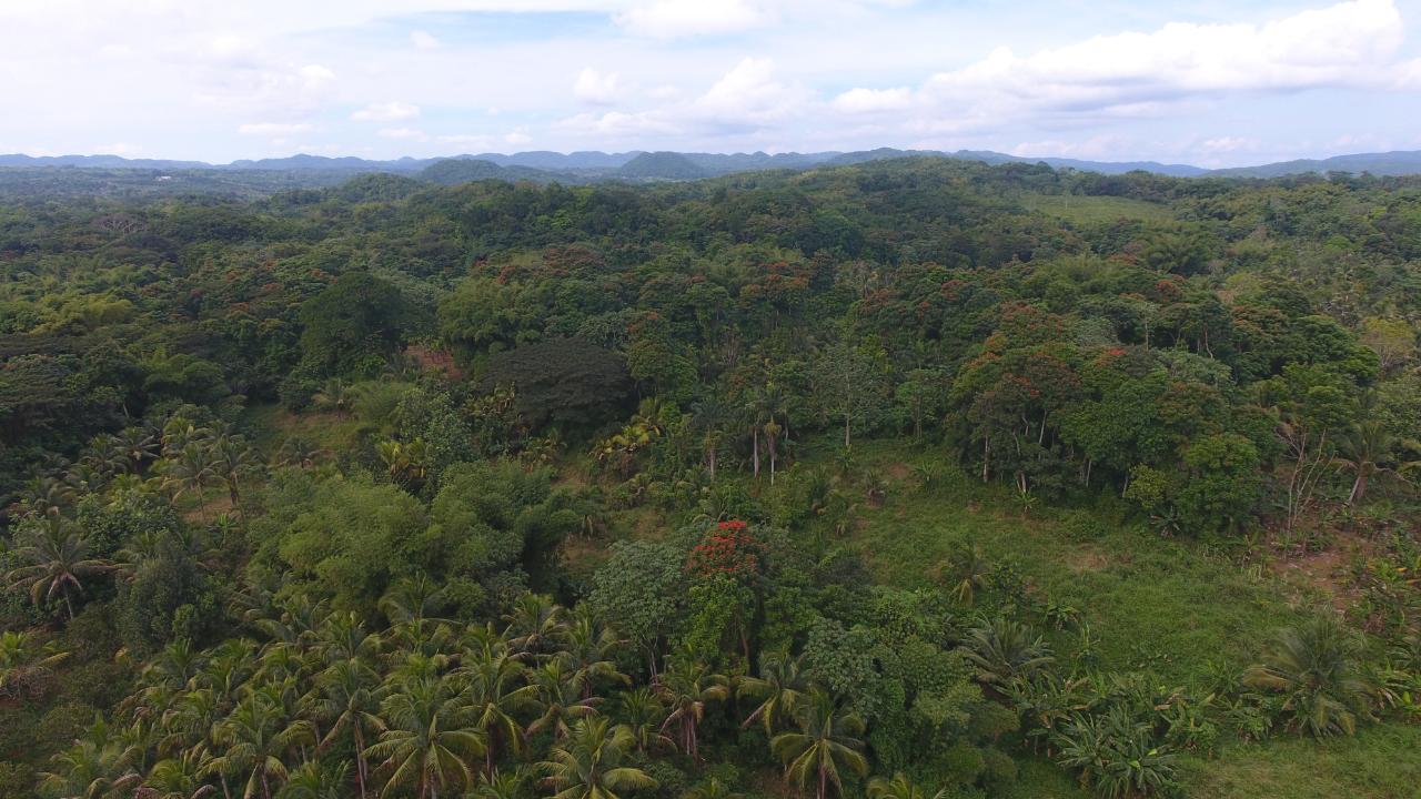 Sixth image of 170 Sevens River, Cambridge in Cambridge, St. James, Jamaica - property is For Sale