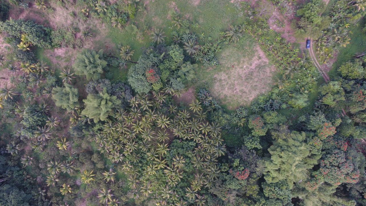 Seventh image of 170 Sevens River, Cambridge in Cambridge, St. James, Jamaica - property is For Sale